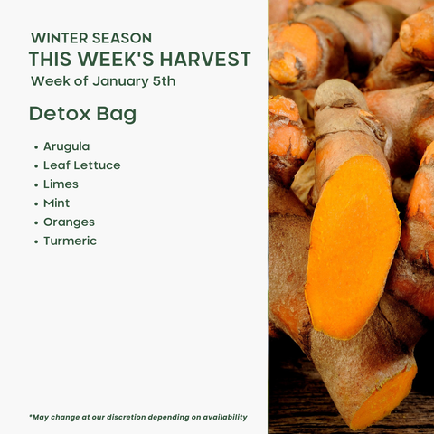 “Detox Bag” Mixed Fruit and Veggie