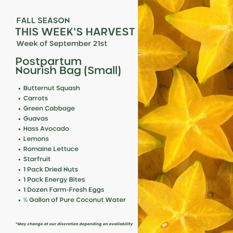 Postpartum Nourish Bag (Small), Mixed Fruit and Veggie