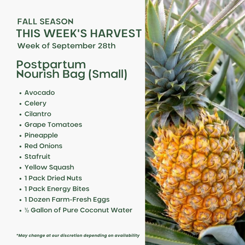 Postpartum Nourish Bag (Small), Mixed Fruit and Veggie