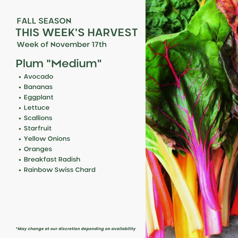 "Plum" (Medium), Mixed Fruit and Veggie