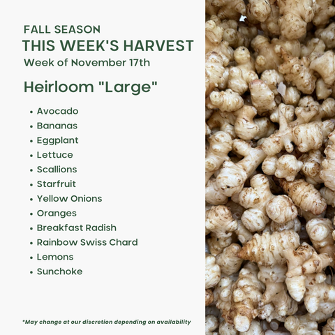 "Heirloom" (Large), Mixed Fruit and Veggie