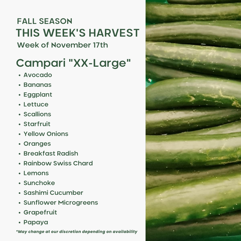 "Campari" (XXL), Fruit & Veggie Mix