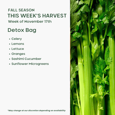 “Detox Bag” Mixed Fruit and Veggie