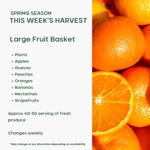 Office Fruit Basket (Large) - Green Tomato 