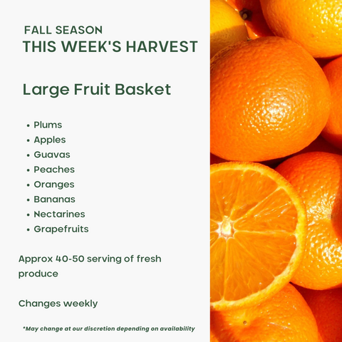 Office Fruit Basket (Large)