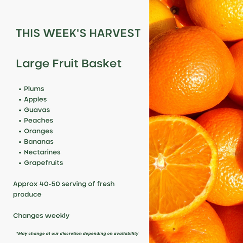 Office Fruit Basket (Large)