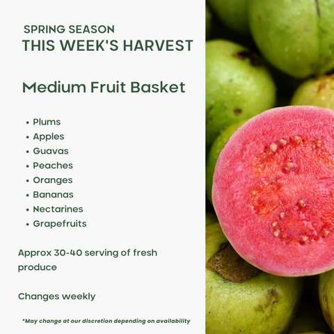 Office Fruit Basket (Medium) - Green Tomato 