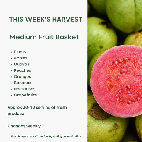 Office Fruit Basket (Medium)