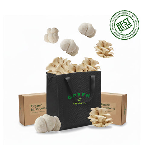 Organic Mushrooms Bundle