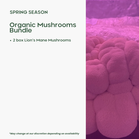 Organic Mushrooms Bundle - Green Tomato 