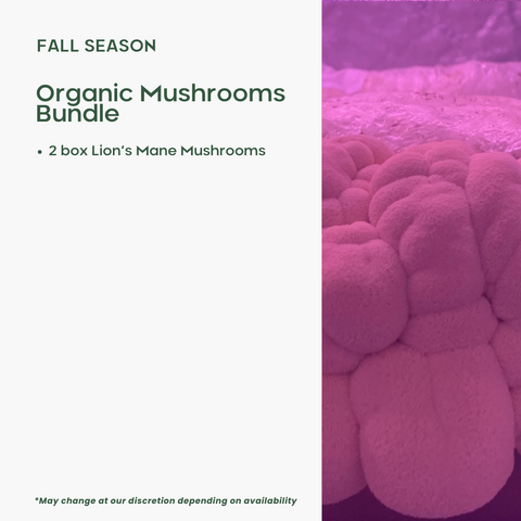Organic Mushrooms Bundle