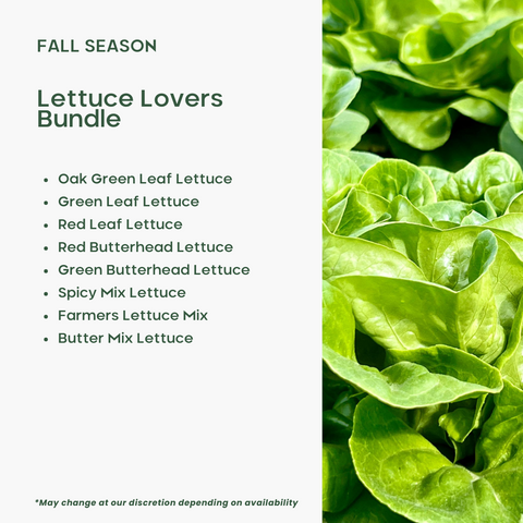 Lettuce Lovers Bundle