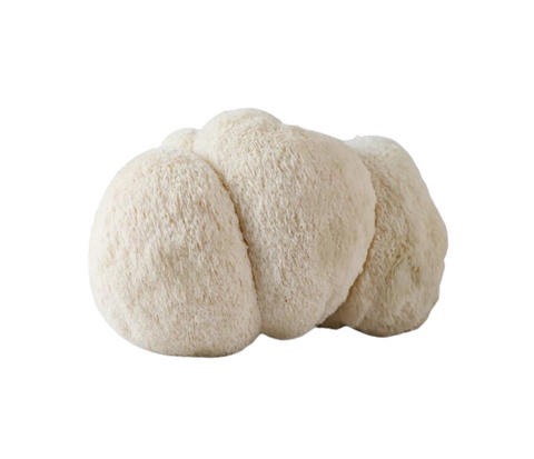 Organic Lion's Mane Mushroom - Green Tomato 