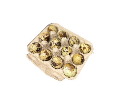 Organic Dozen Pasture-Raised Quail Eggs - Fresh from Florida Farms
