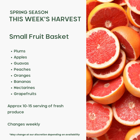 Office Fruit Basket (Small) - Green Tomato 