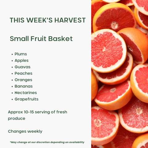 Office Fruit Basket (Small)